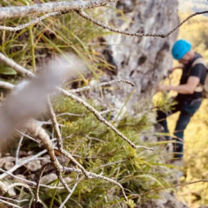 Felskurse (outdoor)