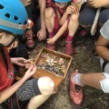 Kletterkindergeburtstag