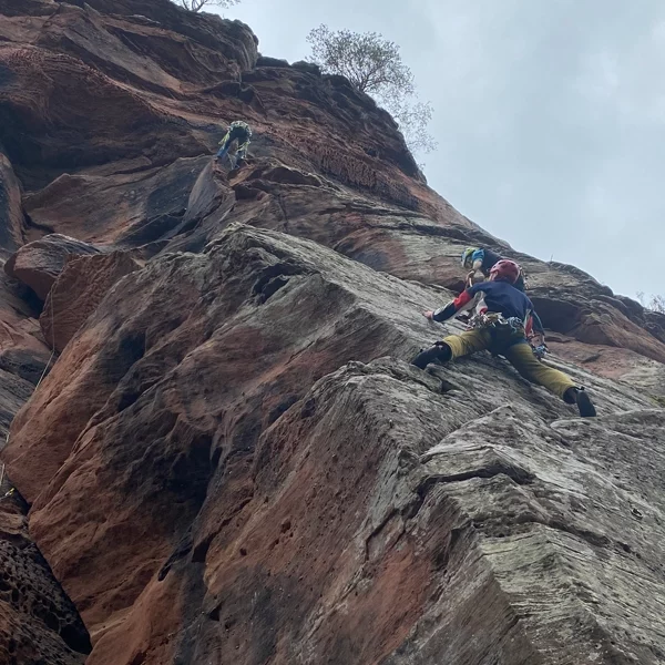 kurs-pfalz-2 kurs-pfalz-2