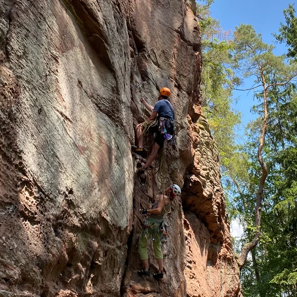 kurs-pfalz-5 kurs-pfalz-5