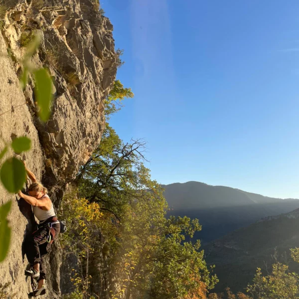 reise-finale-startbild reise-finale-startbild