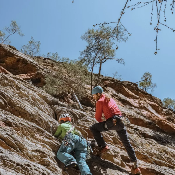 reise-pfalz-gallerie-2 reise-pfalz-gallerie-2