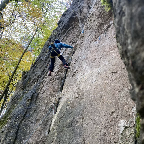 trad-cleankurs-gallerie-2 trad-cleankurs-gallerie-2